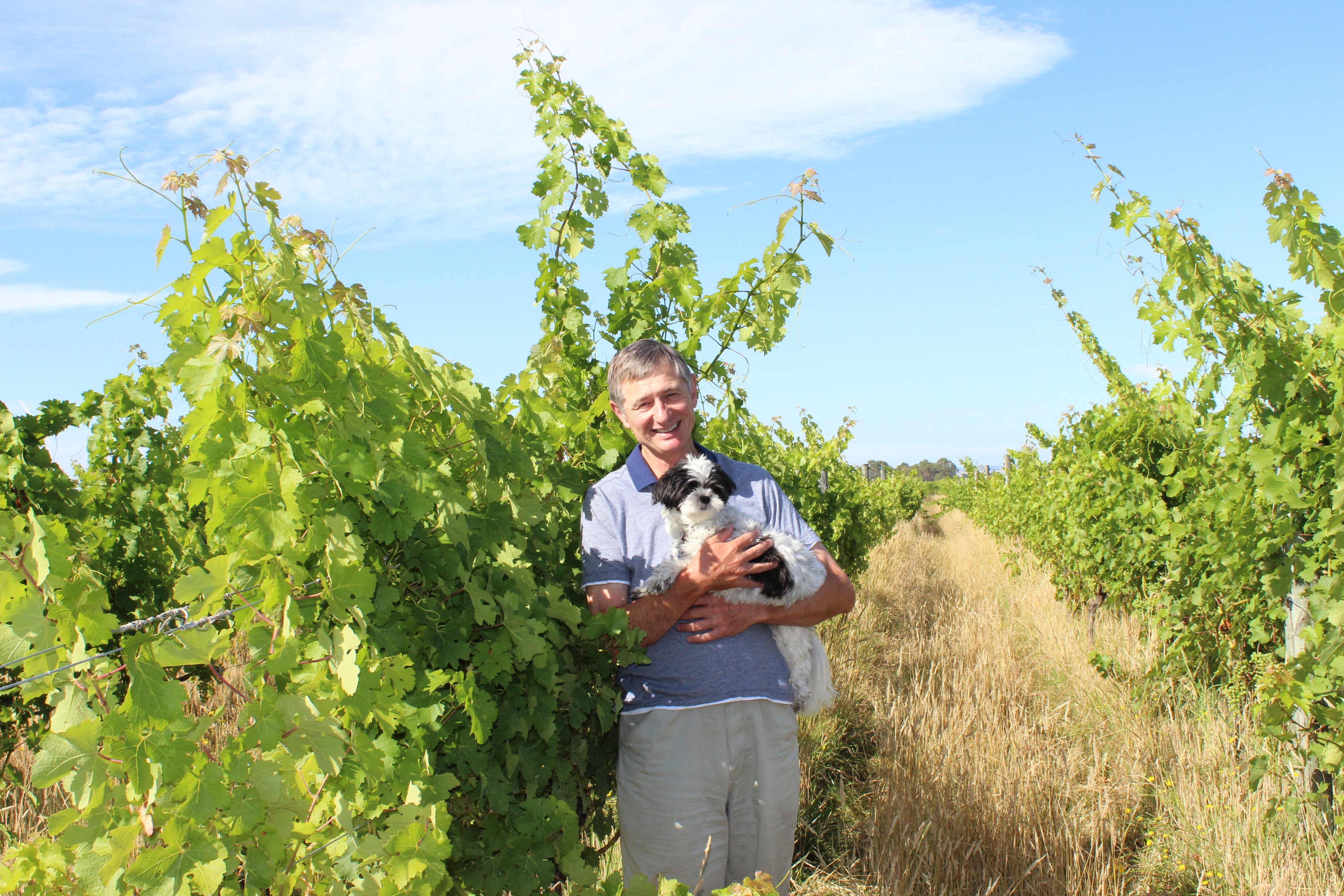 Brett Murdoch, Founder, amongst the vines