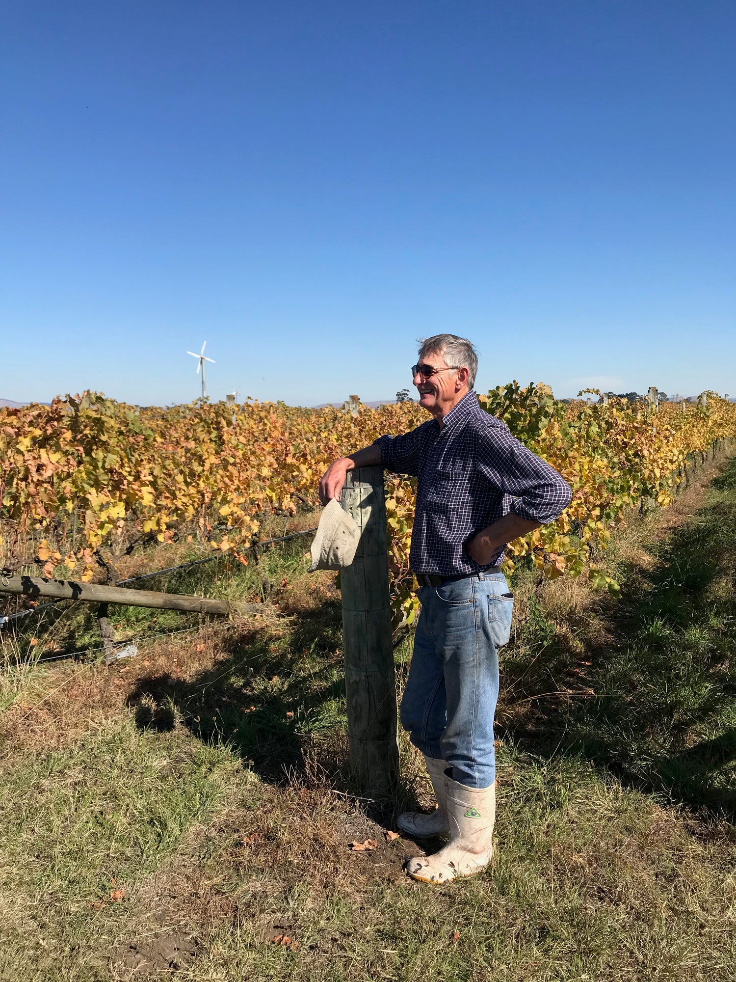 Founder, Brett Murdoch standing in the vineyard. Looking out over the vines. 